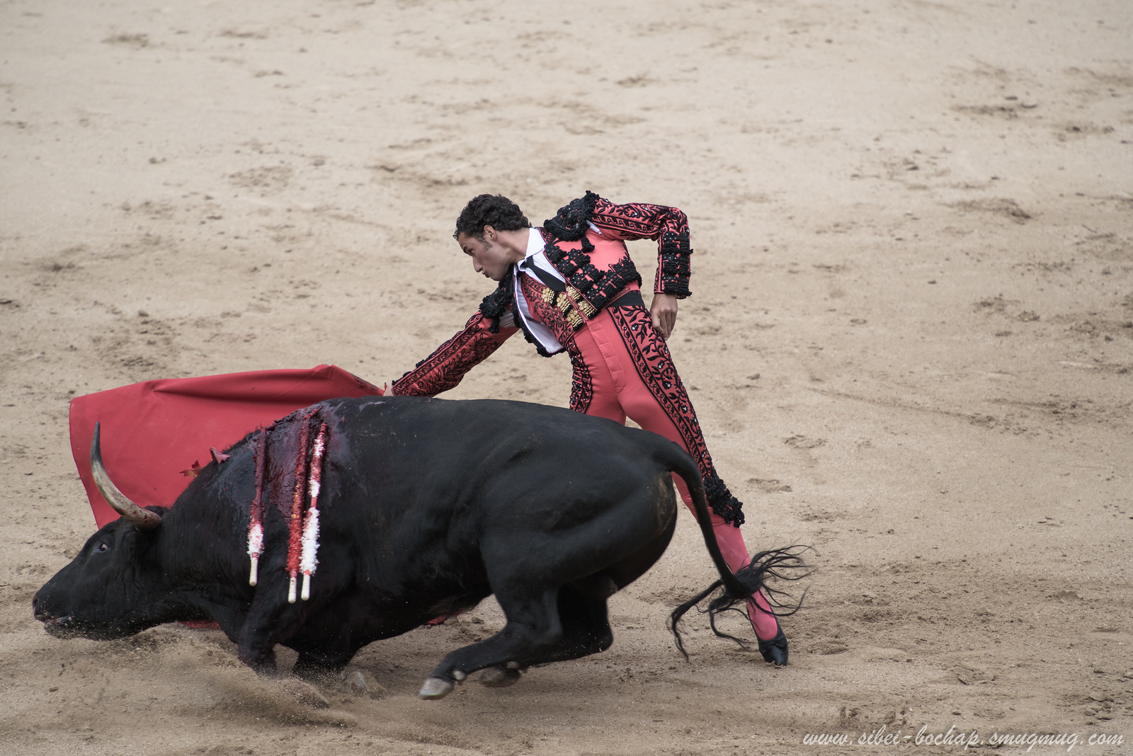 DSC7803-X3.jpg