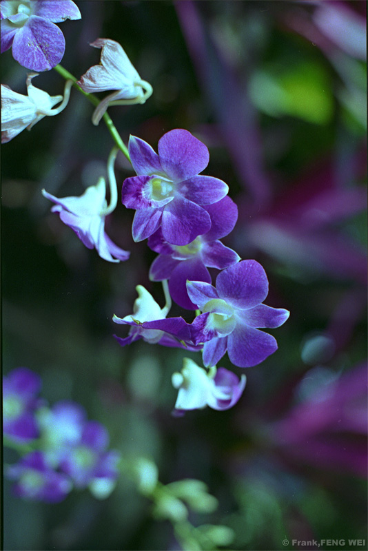 LX_03_s.jpg