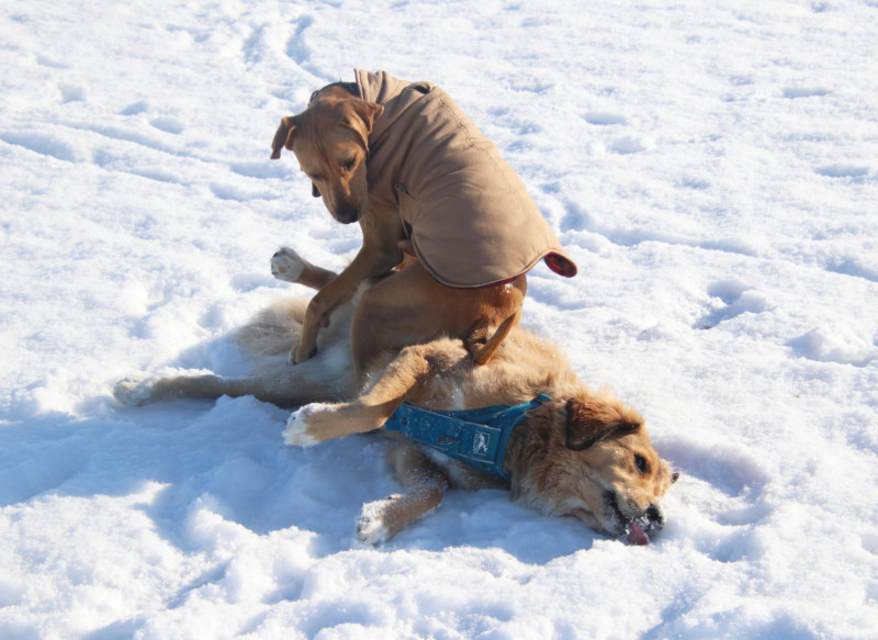 Corey-Seeman_A-Warm-Spot-on-a-Cold-Day-800x583.jpg
