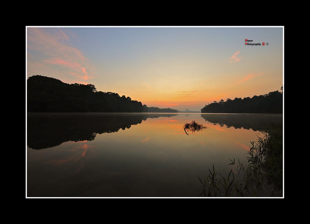 5085654392_27cf6c9236_b.jpg