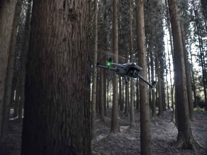DJI-Mavic-3-Forest-17-800x600.jpg