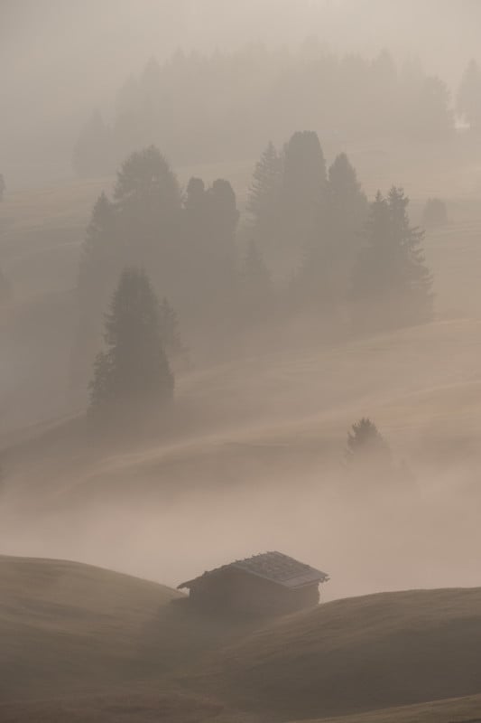 01-livieri_siusi_raw-533x800.jpg