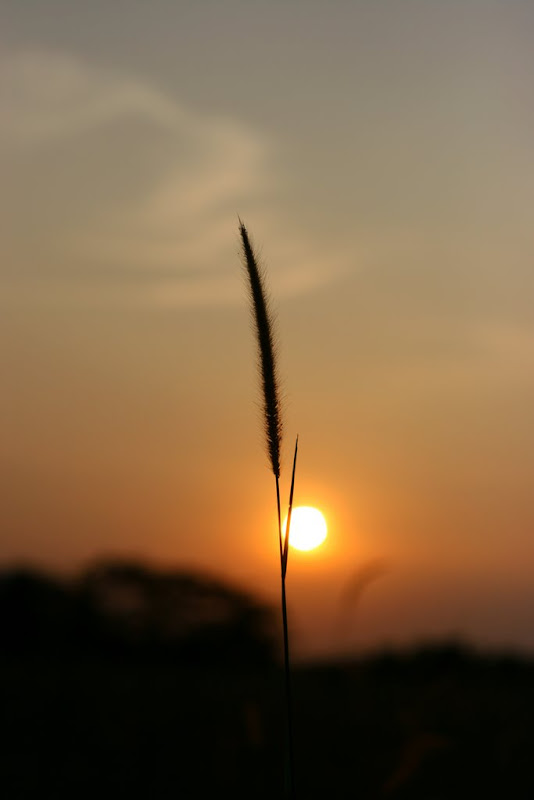 IMG_9249.jpg