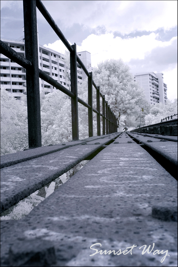 4499421147_047f1a58df_o.jpg