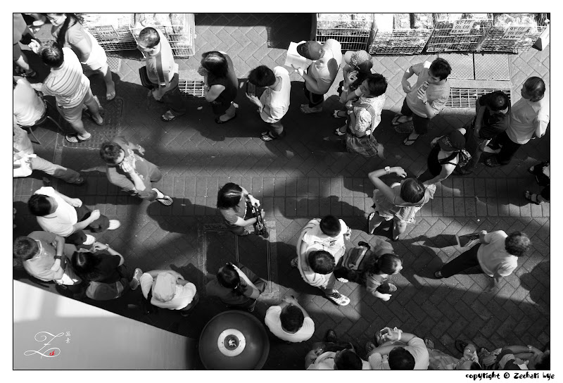 the%20queue%20copy.jpg