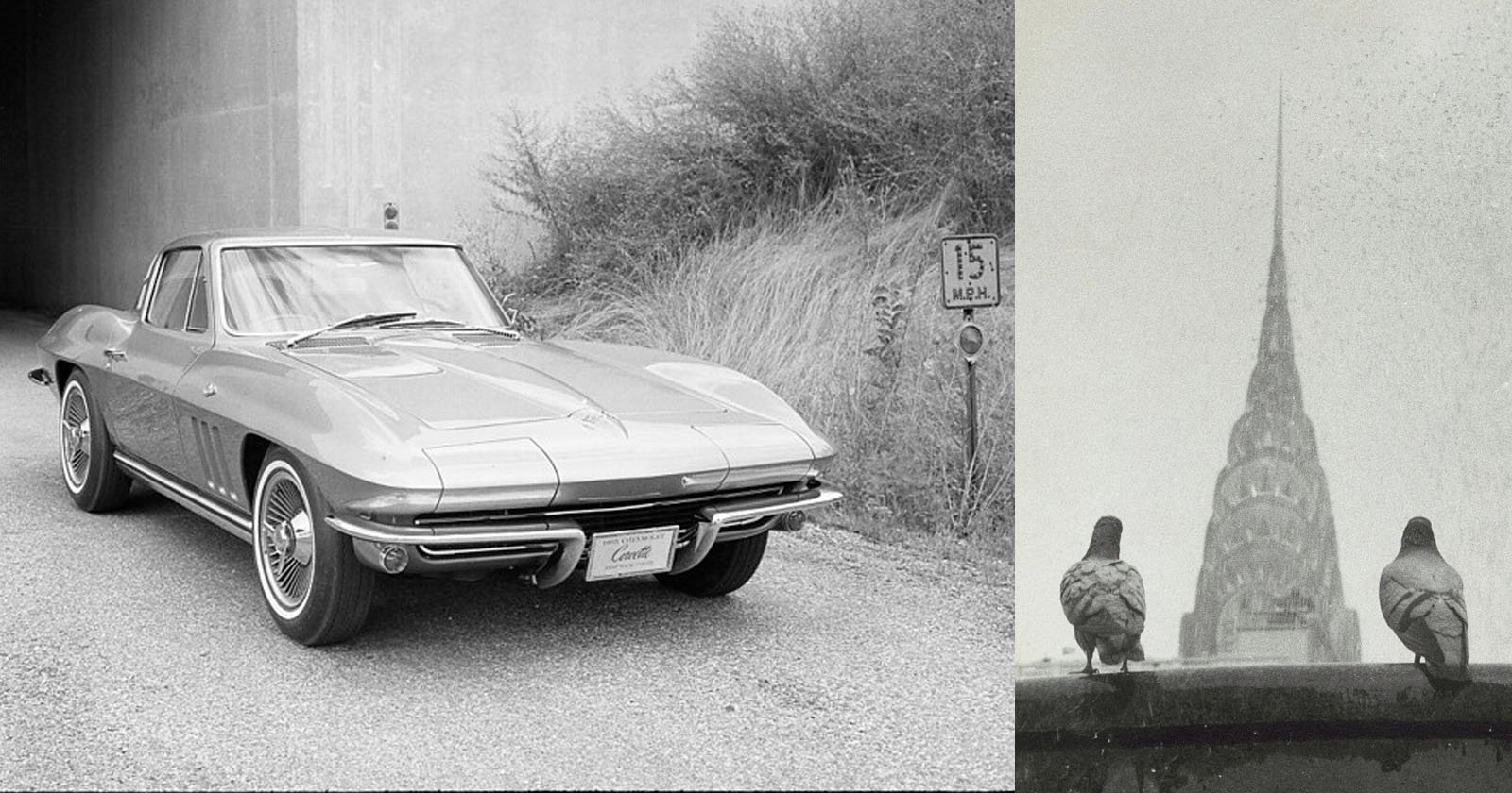 A split image featuring a classic Chevrolet Corvette parked on a road with a speed limit sign, 15 MPH, and dense bushes behind it (left). The right side shows two pigeons perched on a ledge overlooking the Chrysler Building spire in a foggy setting.