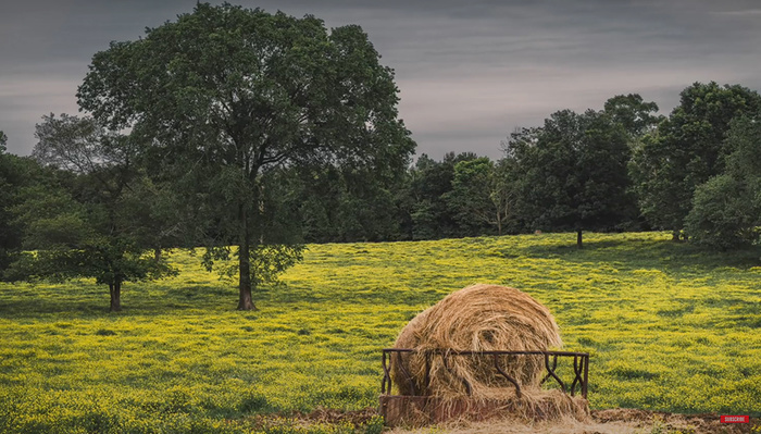 8 Common Beginner Landscape Photography Mistakes