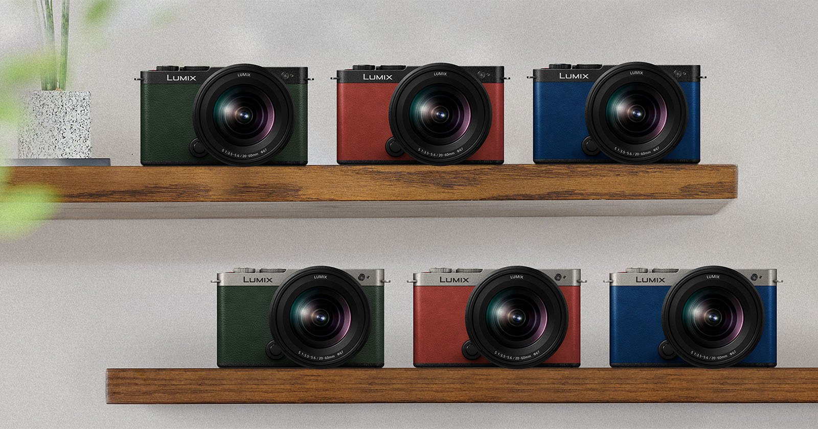 Two wooden shelves each displaying three cameras. The upper shelf holds a green, red, and blue camera, while the lower shelf also holds a green, red, and blue camera. Each camera is marked with the LUMIX brand and is equipped with a large lens. A plant is partially visible on the left side.