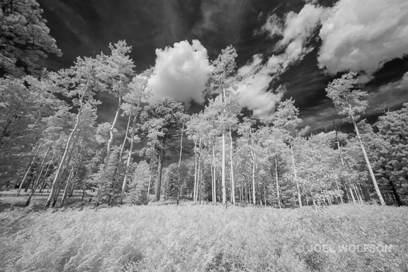 Hochderffer_IR_20190803_016_2Kpx_800px-800x533.jpg