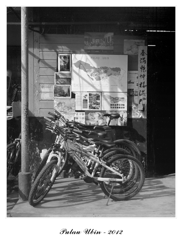 ubin004.jpg