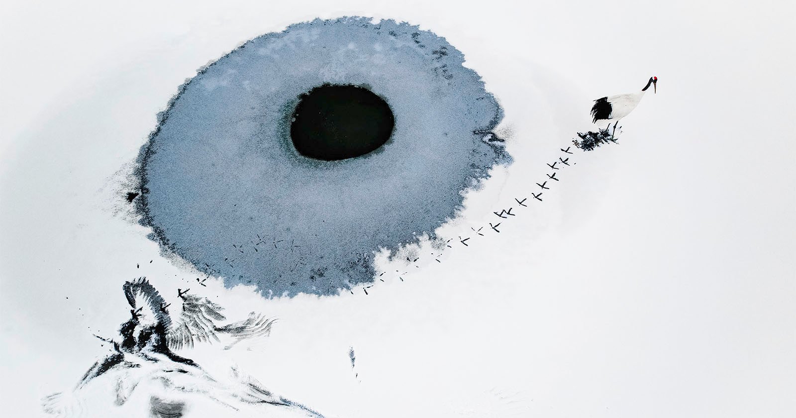 A white-tailed eagle flies past a frozen lake with a hole in the ice. Nearby, a crane stands on the snowy surface, leaving tracks that resemble tiny bird-like footprints pointing toward the opening. The scene is minimalist and captured from above.
