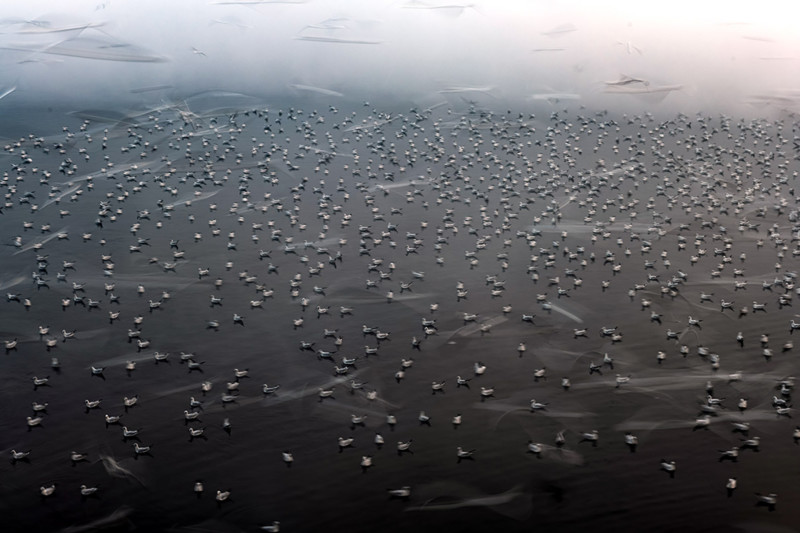 7-800x533.jpg