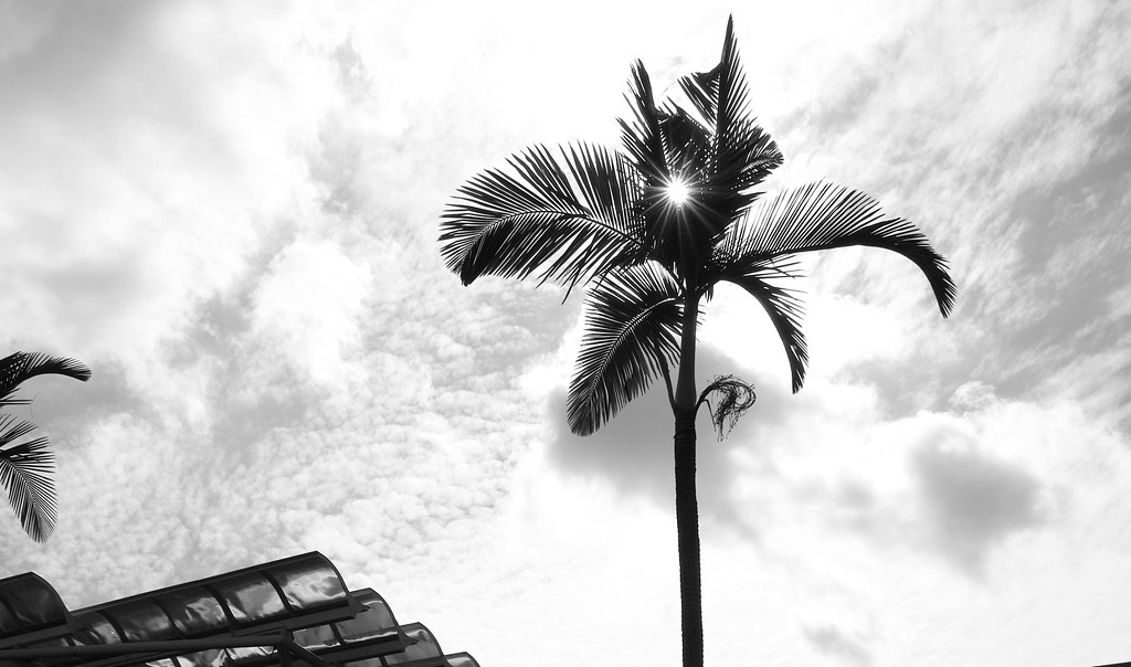 11070750843_61cfaf3991_b.jpg