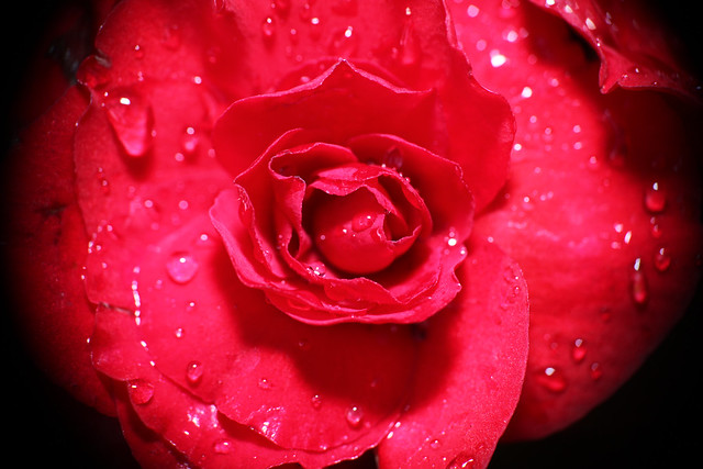 5432070689_a83dbe0b77_z.jpg