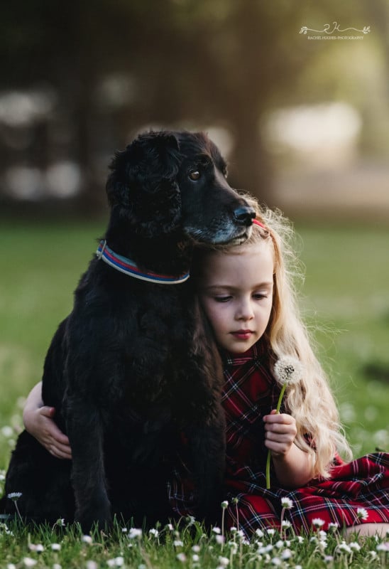 dog2-548x800.jpeg