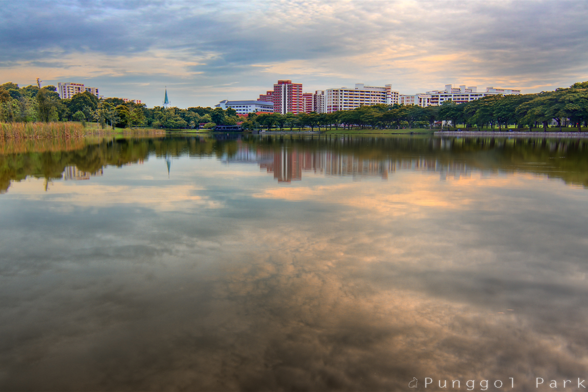 Punggol_Park_Revisited_2_by_Draken413o.jpg