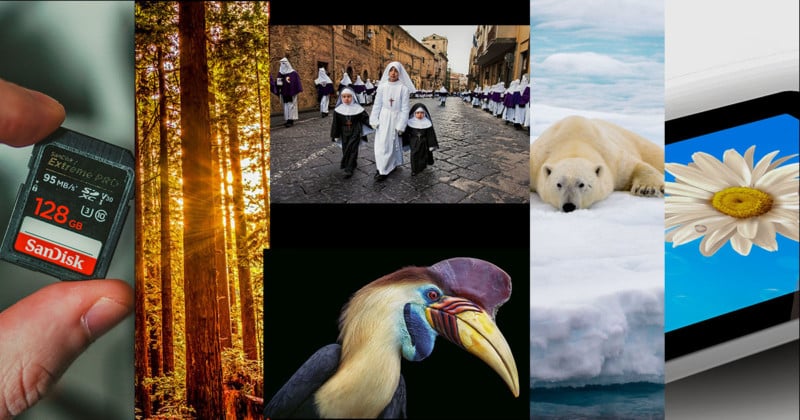 Header211205-copy-800x420.jpg