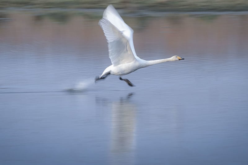 8501947-Edit-scaled-1-800x534.jpg