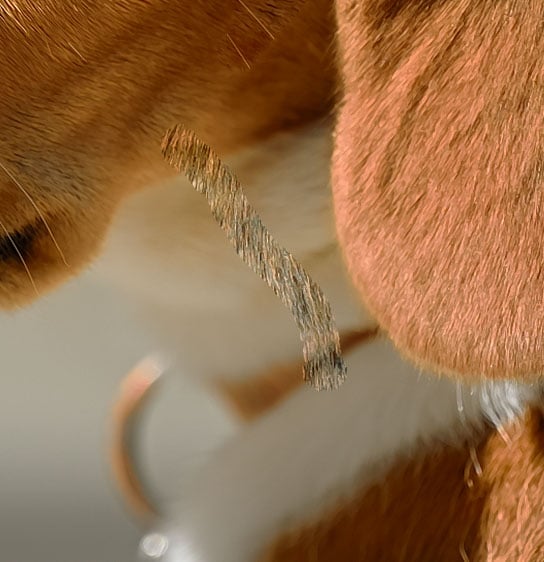 Retouch-Brush-Attempt-2-Results.jpg