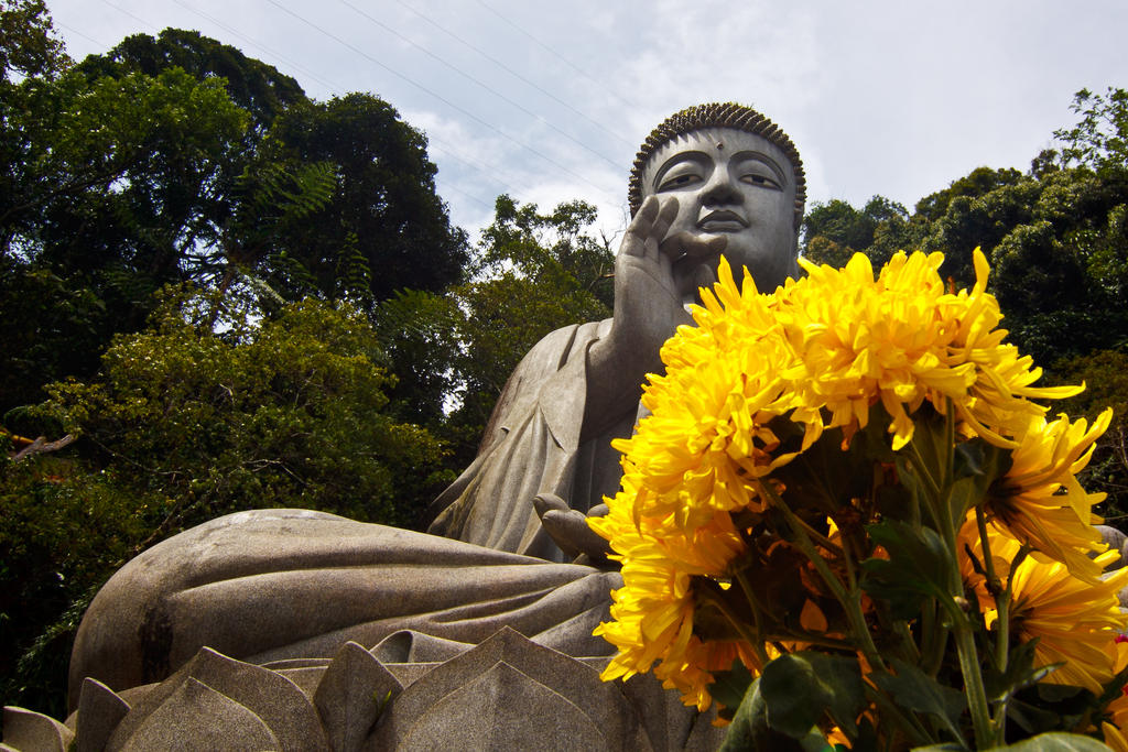 buddha_meets_van_gogh_by_draken413o-d38tmbx.jpg