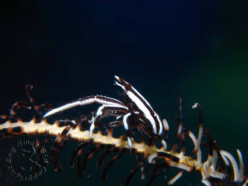 IMG_6541-Edit.jpg
