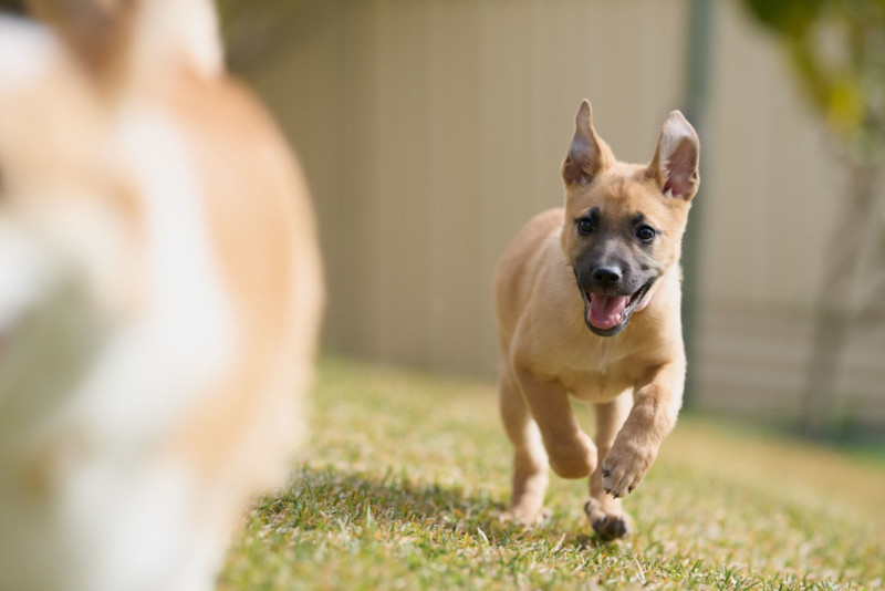 Ben-Howland-Sony-A1-Review-42-800x534.jpg