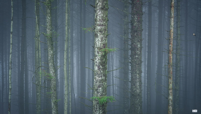 7 Editing Techniques Landscape Photographers Should Know