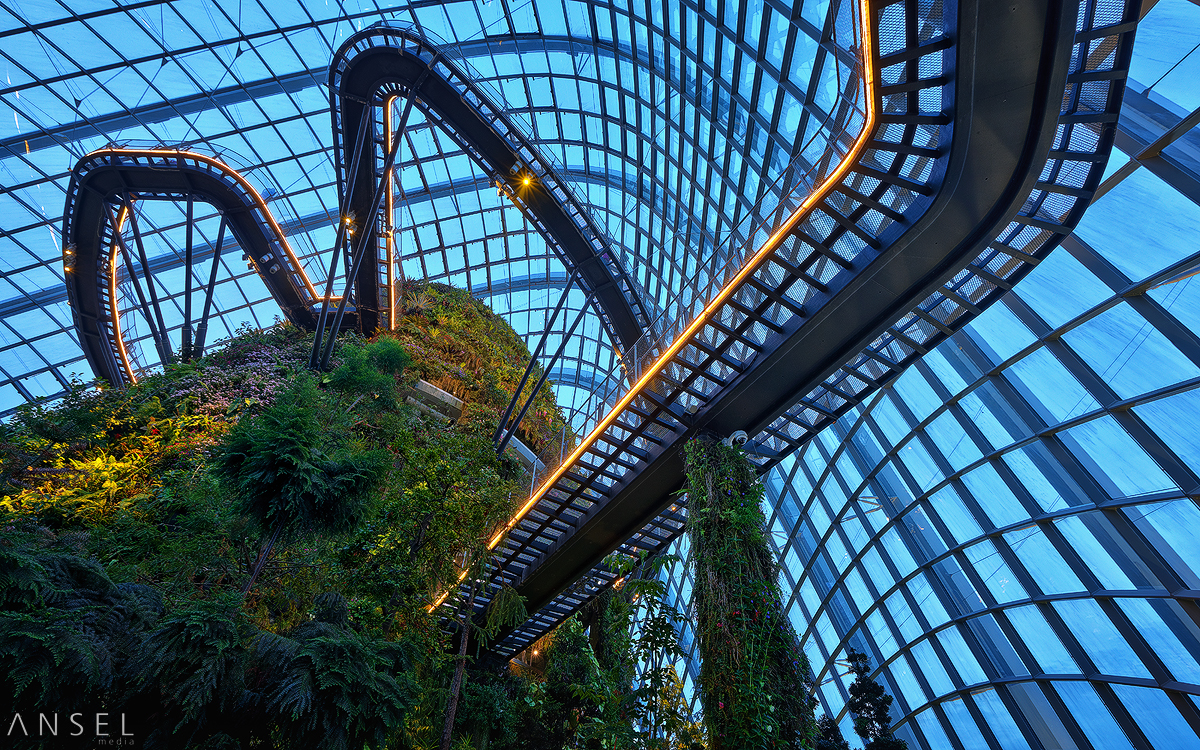z_conservatarium_by_draken413o-d6rudyl.jpg