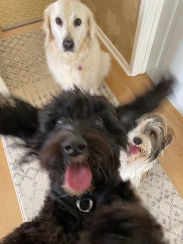 Mollie-Cheary_Photo-bomb-600x800.jpg