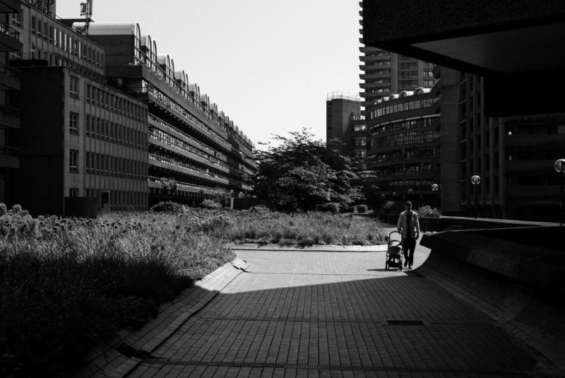 L1001746-800x535.jpg
