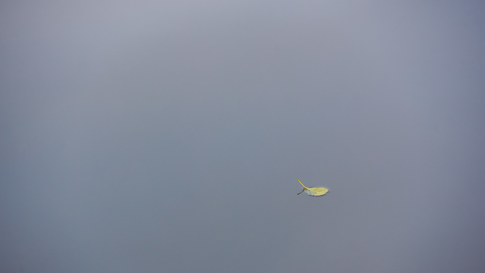 What Is Minimalist Photography and How Do You Do It?