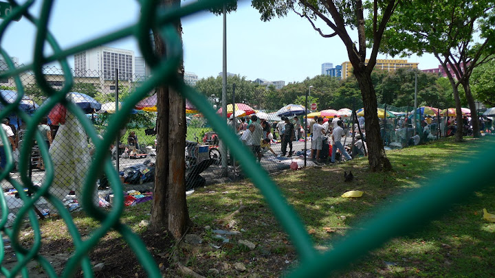 P1000159.JPG