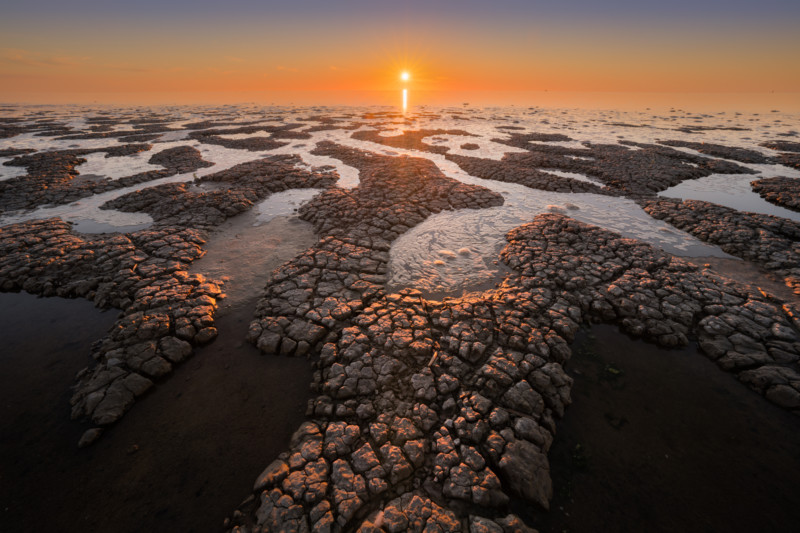 sunstar2-800x533.jpg