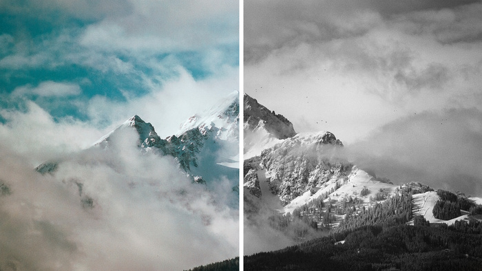 There’s a Time for Shooting Film and There’s a Time for Shooting Digital: Here's How You Decide