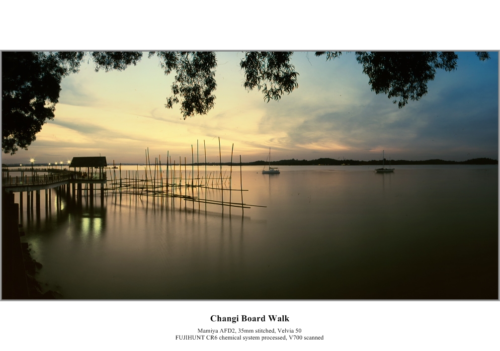 untitled-3-panorama.jpg