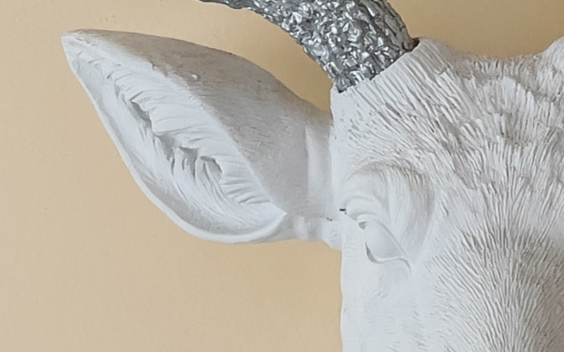 ProRAW_2_crop.jpg