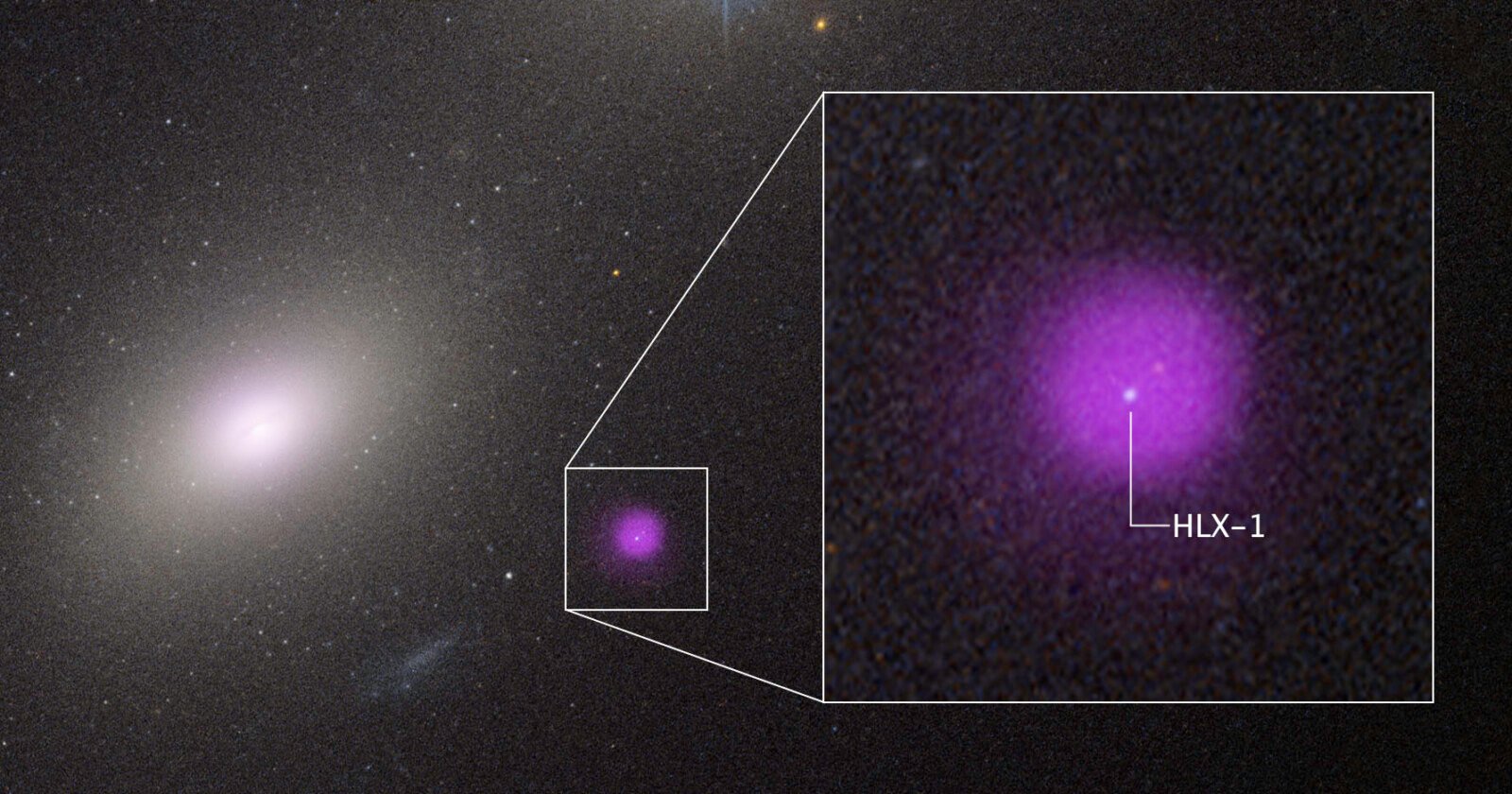 A galaxy with a bright core is shown. An inset zooms in on a glowing purple spot labeled HLX-1, highlighting a specific object within the galaxy against a field of stars.