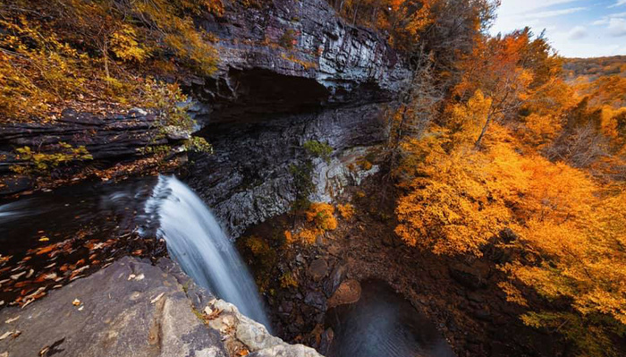 Catch Those Beautiful Autumnal Photographs Before Winter Comes