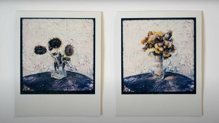 Shooting Polaroid Film on the Mamiya RB67