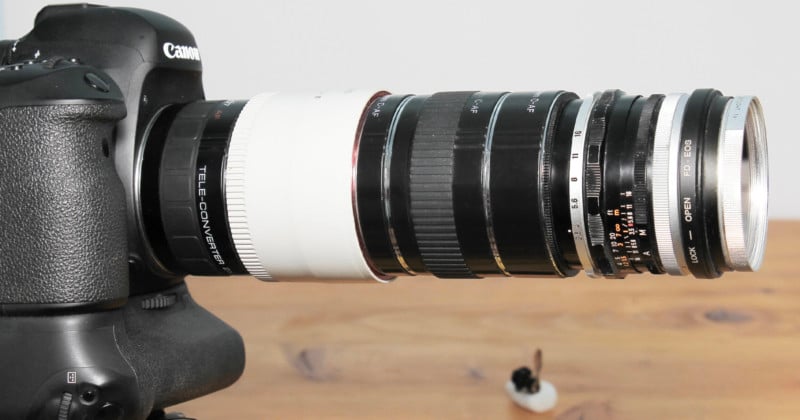 Using-Teleconverters-for-Macro-Photography-800x420.jpg