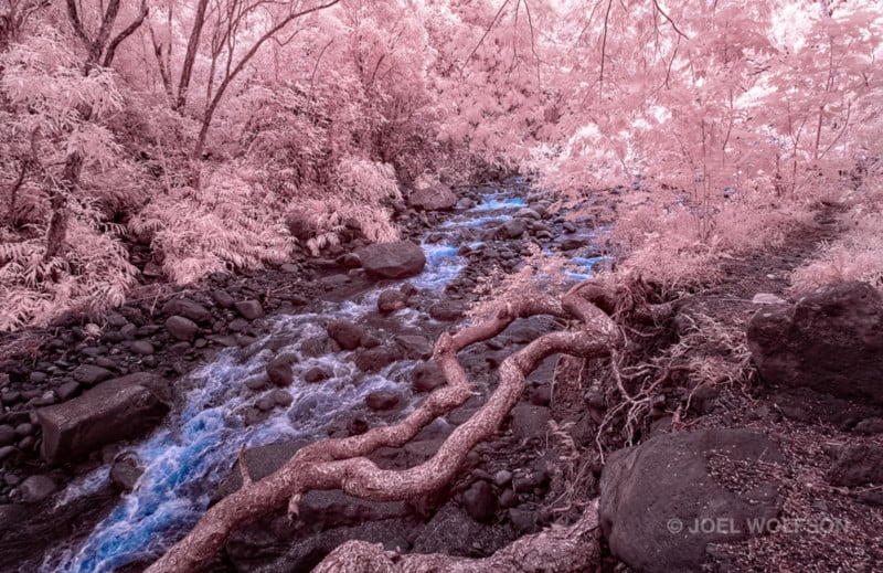 Maui_IR_20210312_081_DN-LoLt_On1_1080px-800x519.jpg