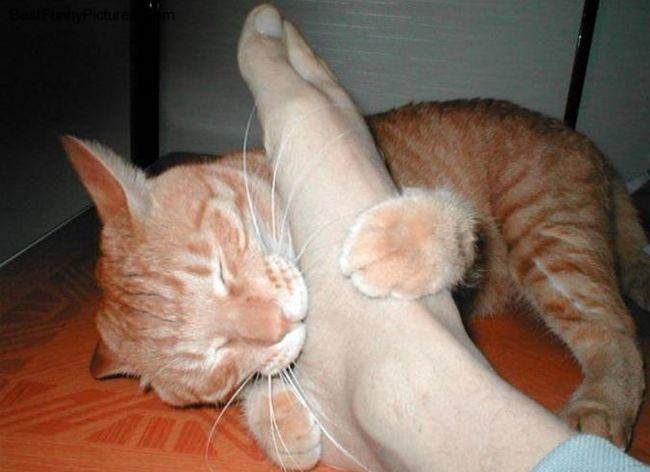 foot-massage.jpg