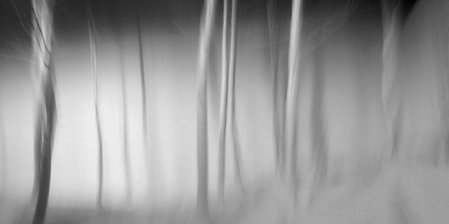 5067019128_6641014a14_z.jpg
