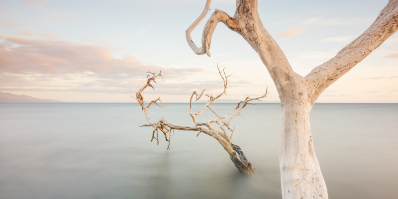 THE-END-OF-SUFFERING.MEDIUM-FORMAT-800x400.jpg