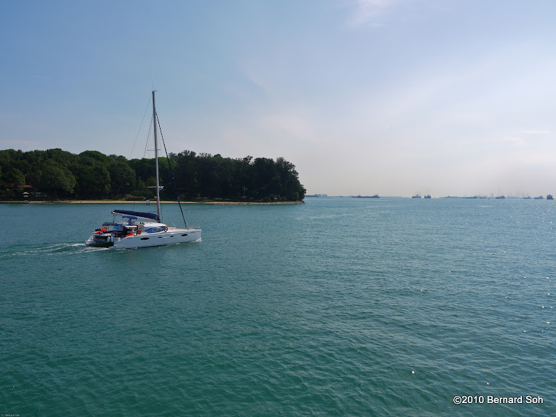 P1010002.jpg