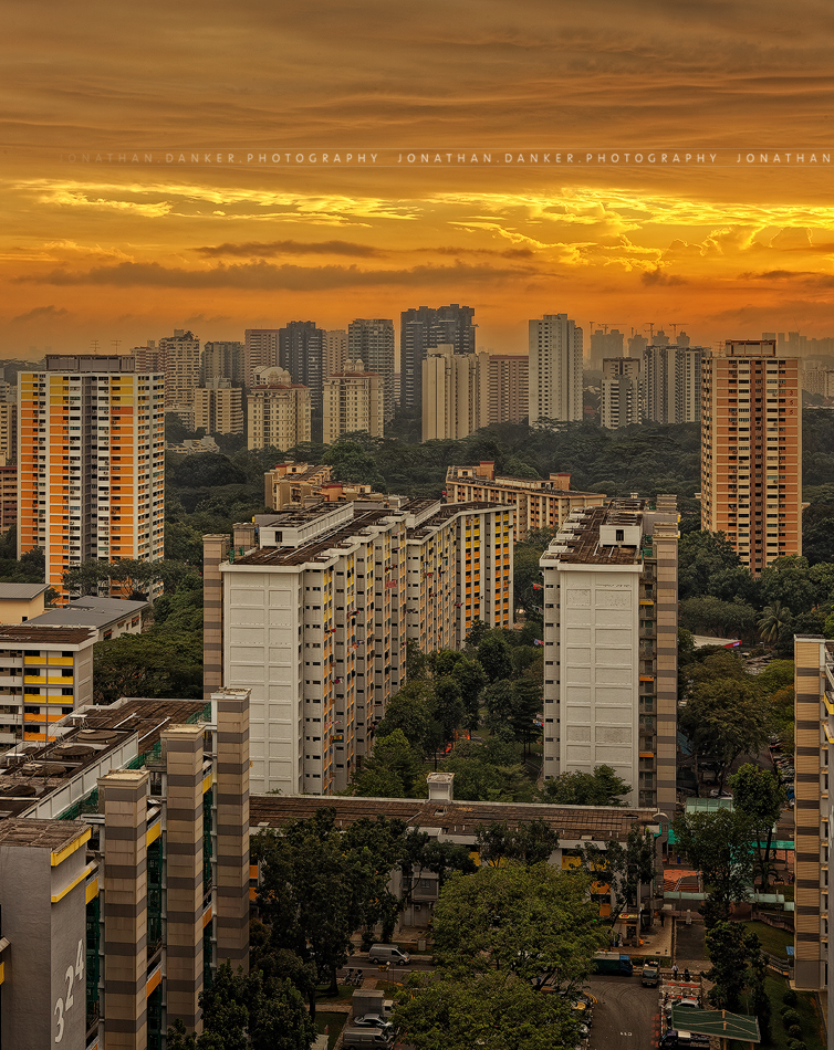 z_golden_morning_by_draken413o-d5uajne.jpg