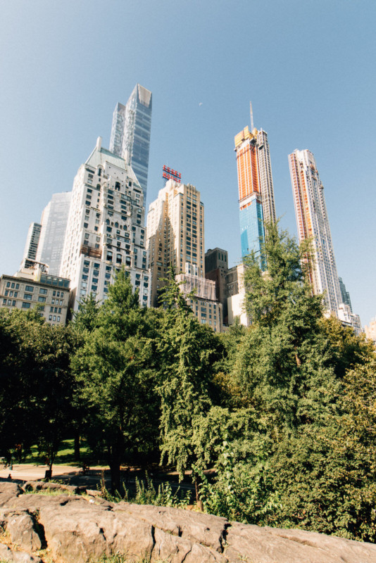 IMG_1378-534x800.jpg