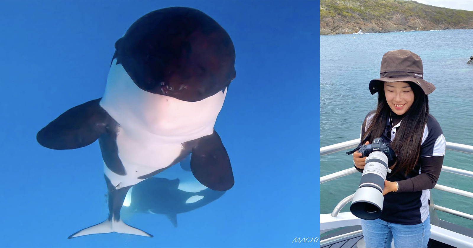 Split image with a close-up of a killer whale underwater on the left and a smiling woman with a camera on a boat on the right, with a coastal background.