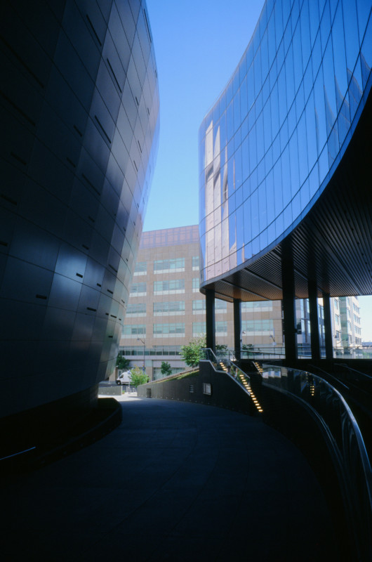 000000490013-530x800.jpg