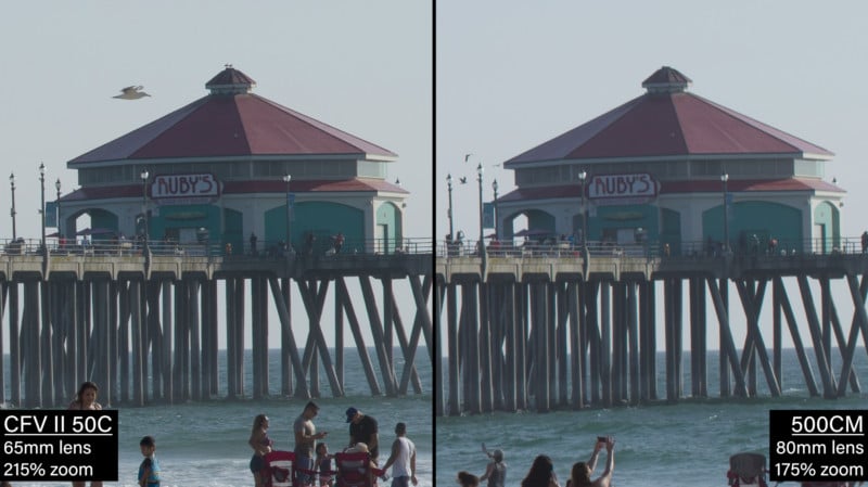 closeup-1-800x449.jpg